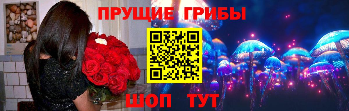 сколько стоит  Псилоцибиновые грибы GOLDEN TEACHER  Вход с VPN  Карабулак 